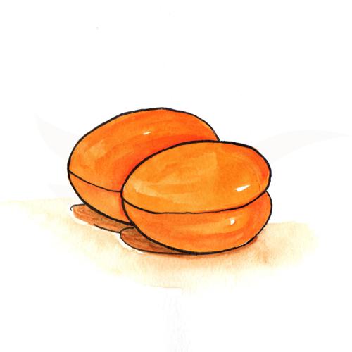Apricot