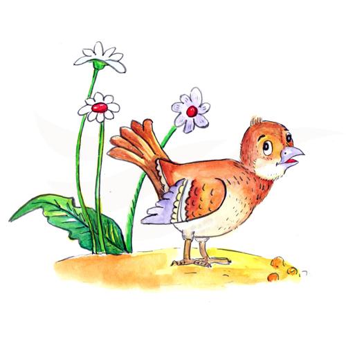 Bird