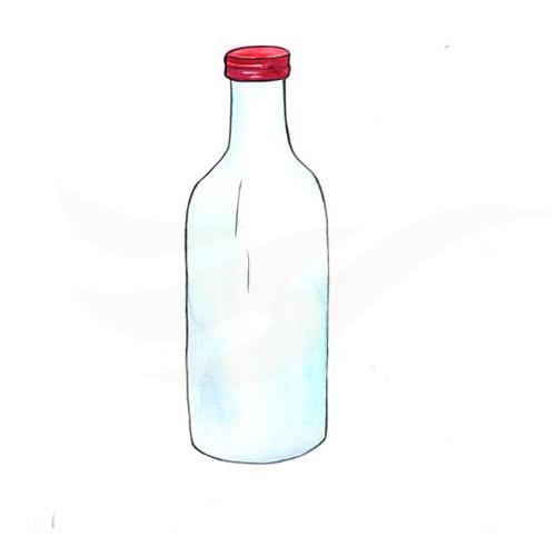Bottle