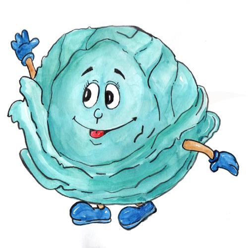 Cabbage