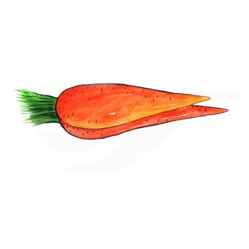 Carrot