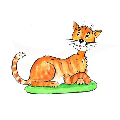 Cat
