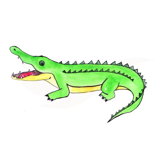 Crocodile