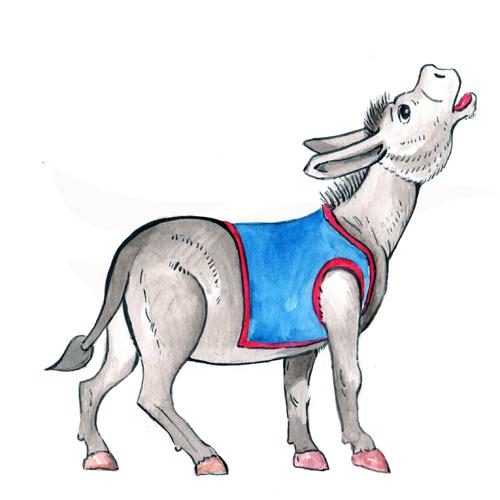 Donkey