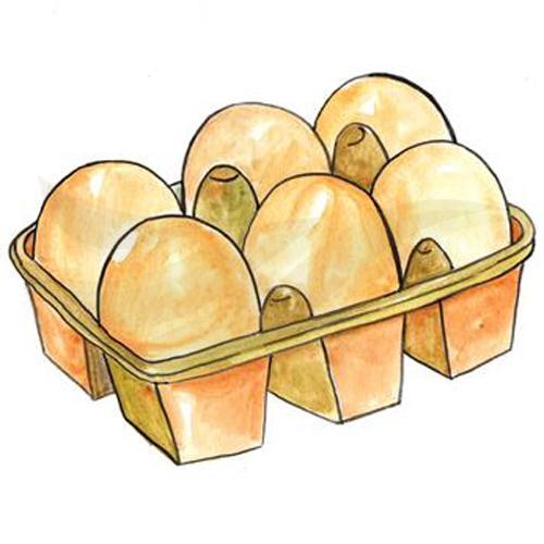 Egg