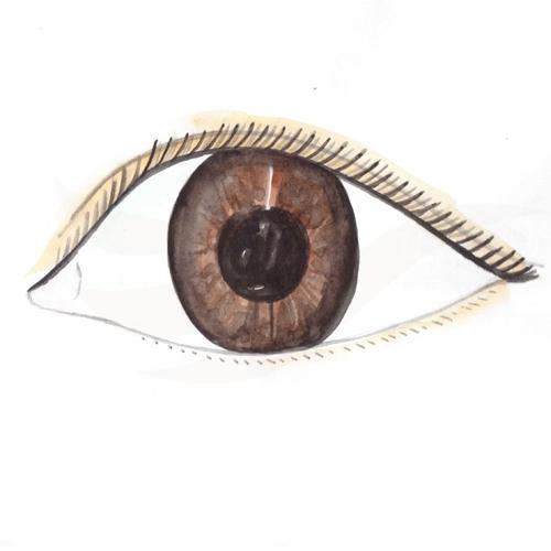 Eye