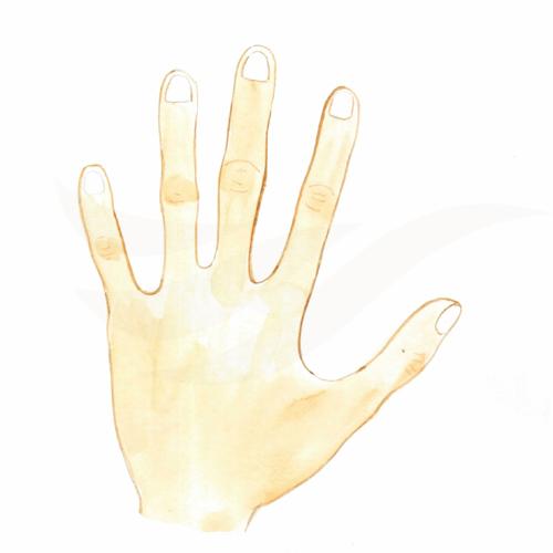 Finger