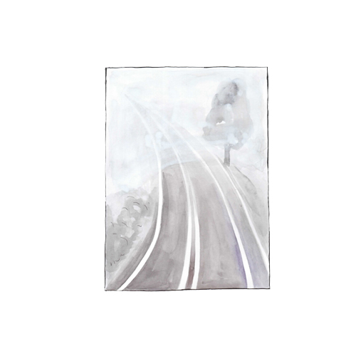 Fog