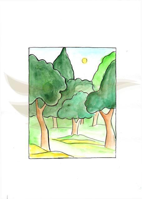 Forest