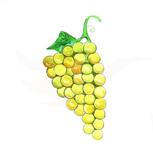 Grape
