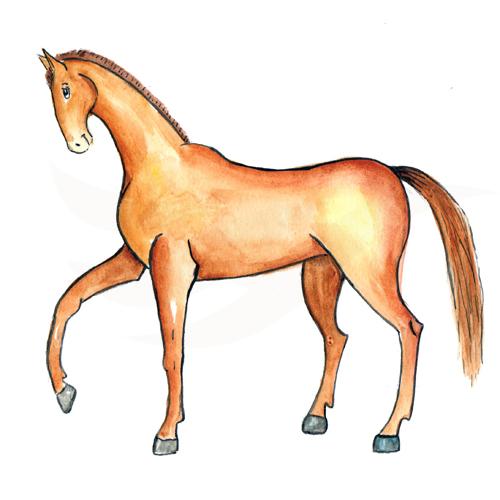 Horse