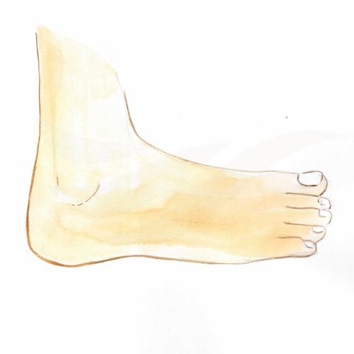 Leg