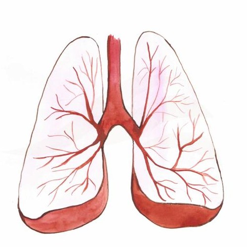 Lung