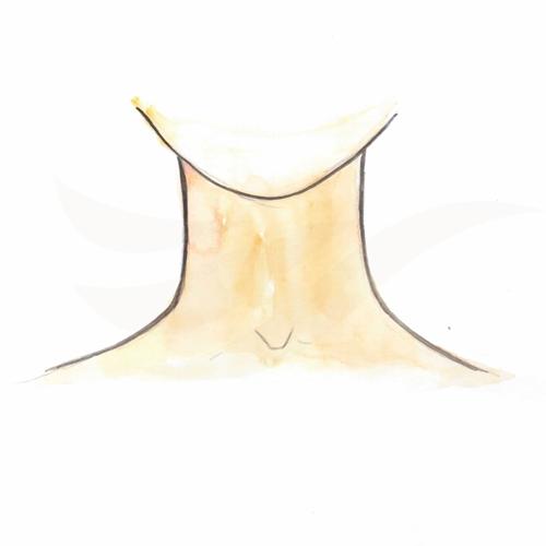 Neck