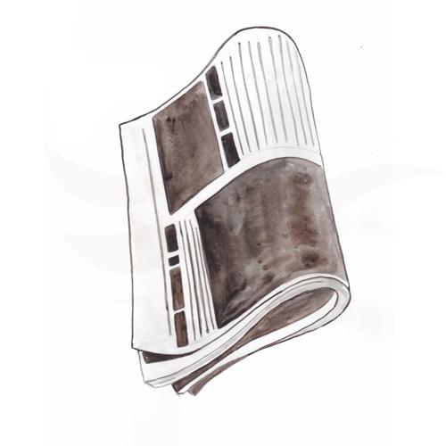 Newspaper
