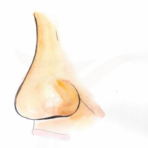 Nose