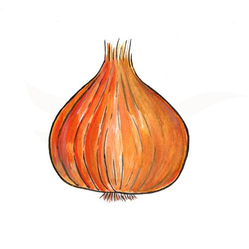 Onion