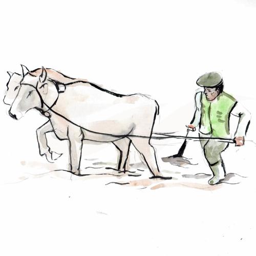 Peasant