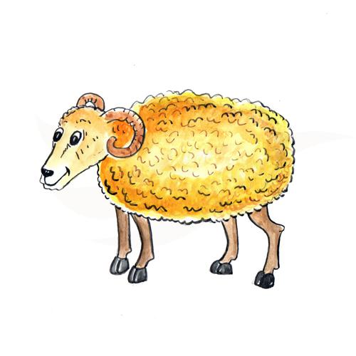 Sheep
