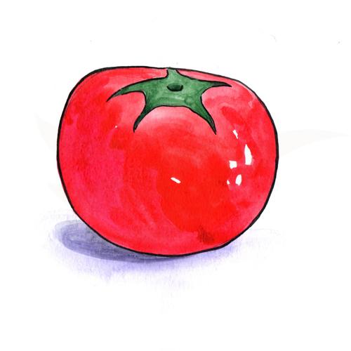 Tomato