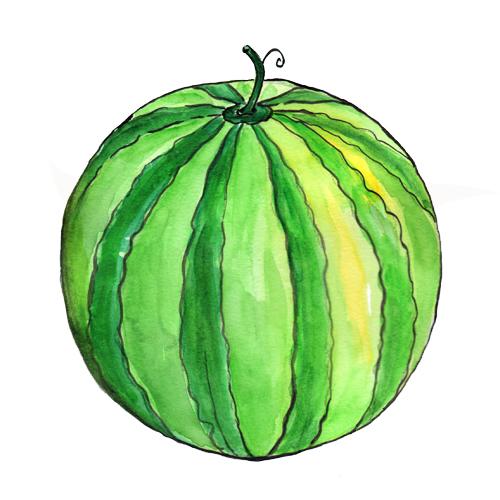 Watermelon